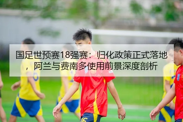 guo-zu-shi-yu-sai-qiang-sai-gui-hua-zheng-ce-zheng-shi-luo-di-a-lan-yu-fei-nan-duo-shi-yong-qian-jing-shen-du-pou-xi-3-306.jpg