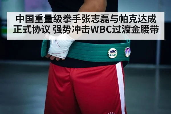中国重量级拳手张志磊与帕克达成正式协议 强势冲击WBC过渡金腰带